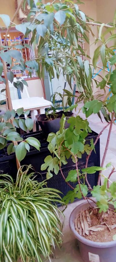 Joli Studio Avec Jardin Espira-de-l'Agly Buitenkant foto